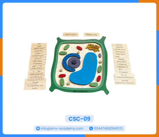 الخلية النباتية